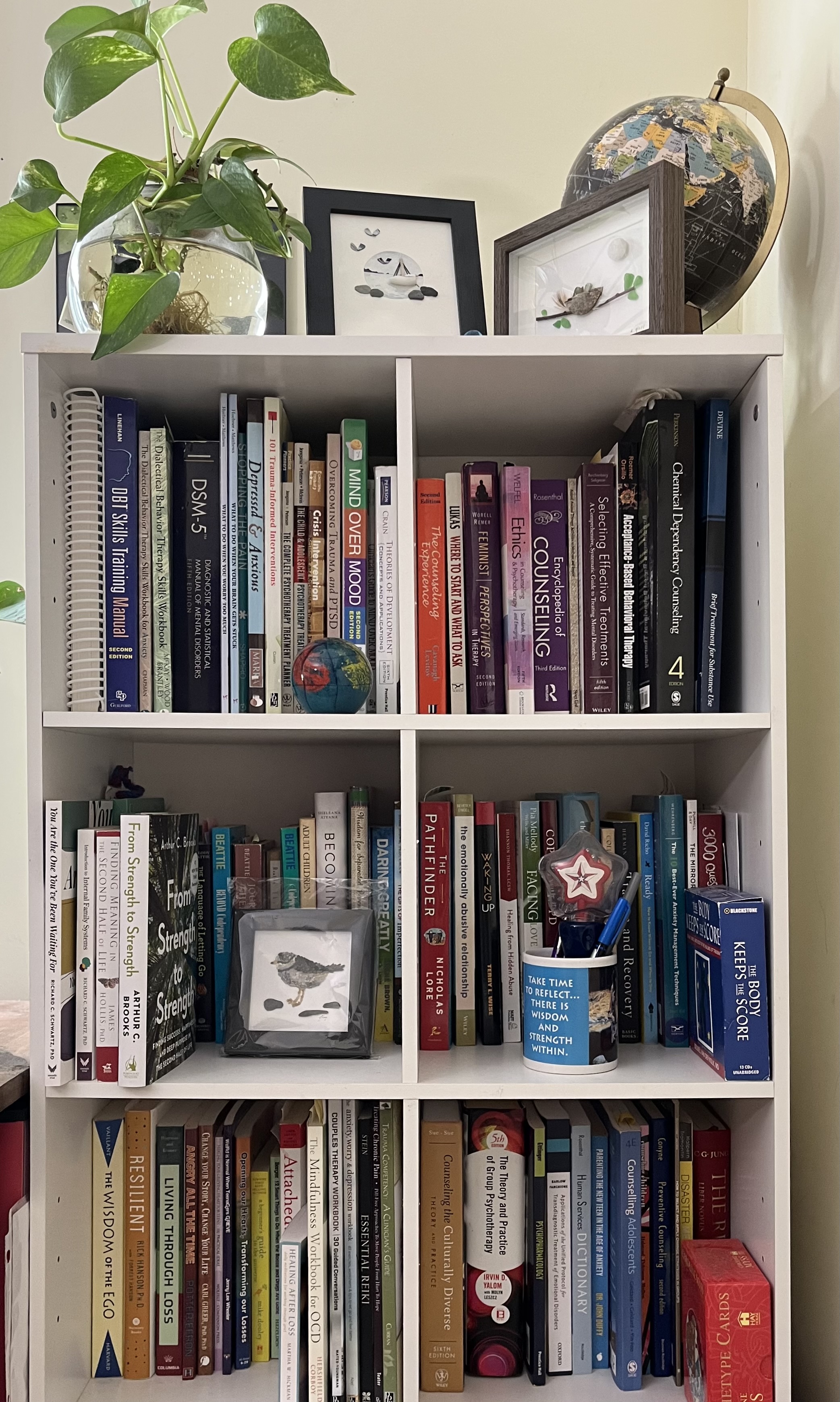 Therapy bookshelf with professional resources