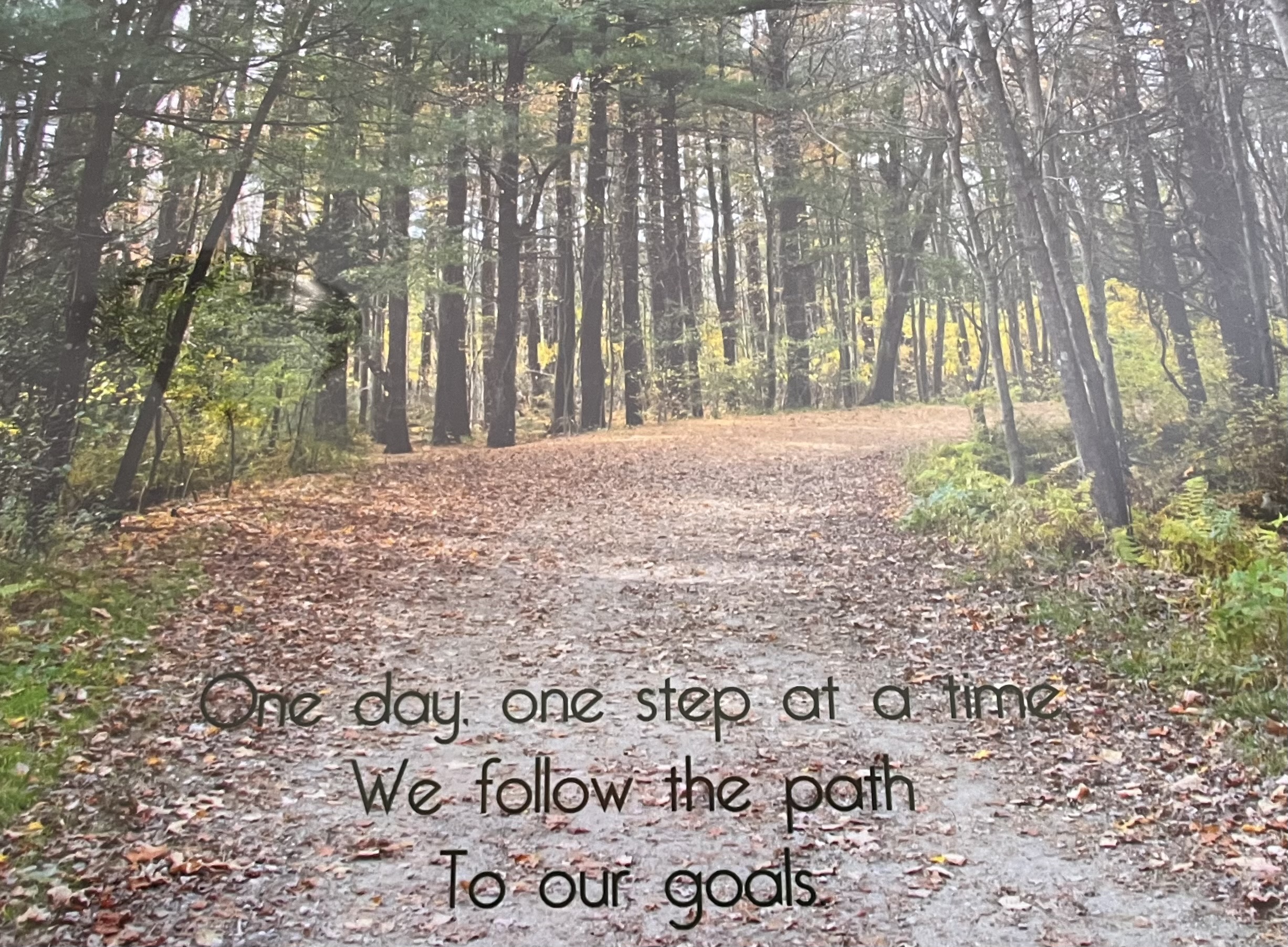 Forest path with quote: One day, one step at a time. We follow the path. To our goals.